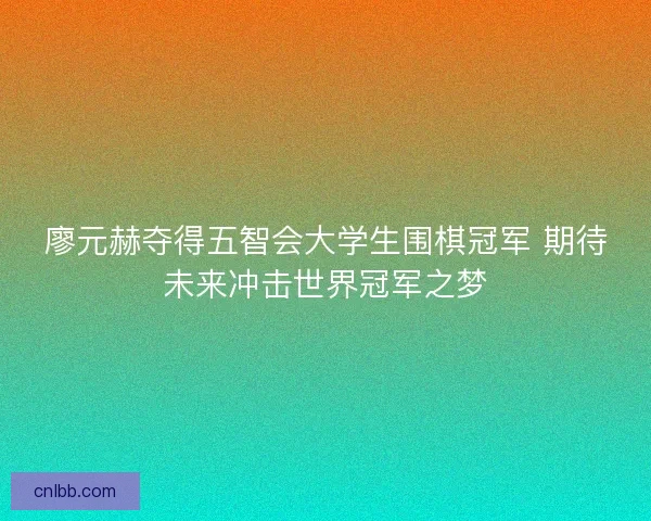 廖元赫夺得五智会大学生围棋冠军 期待未来冲击世界冠军之梦